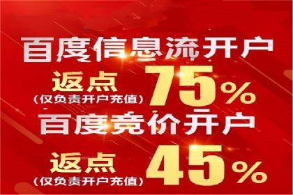 成功案例：百度推广返点的实际效果